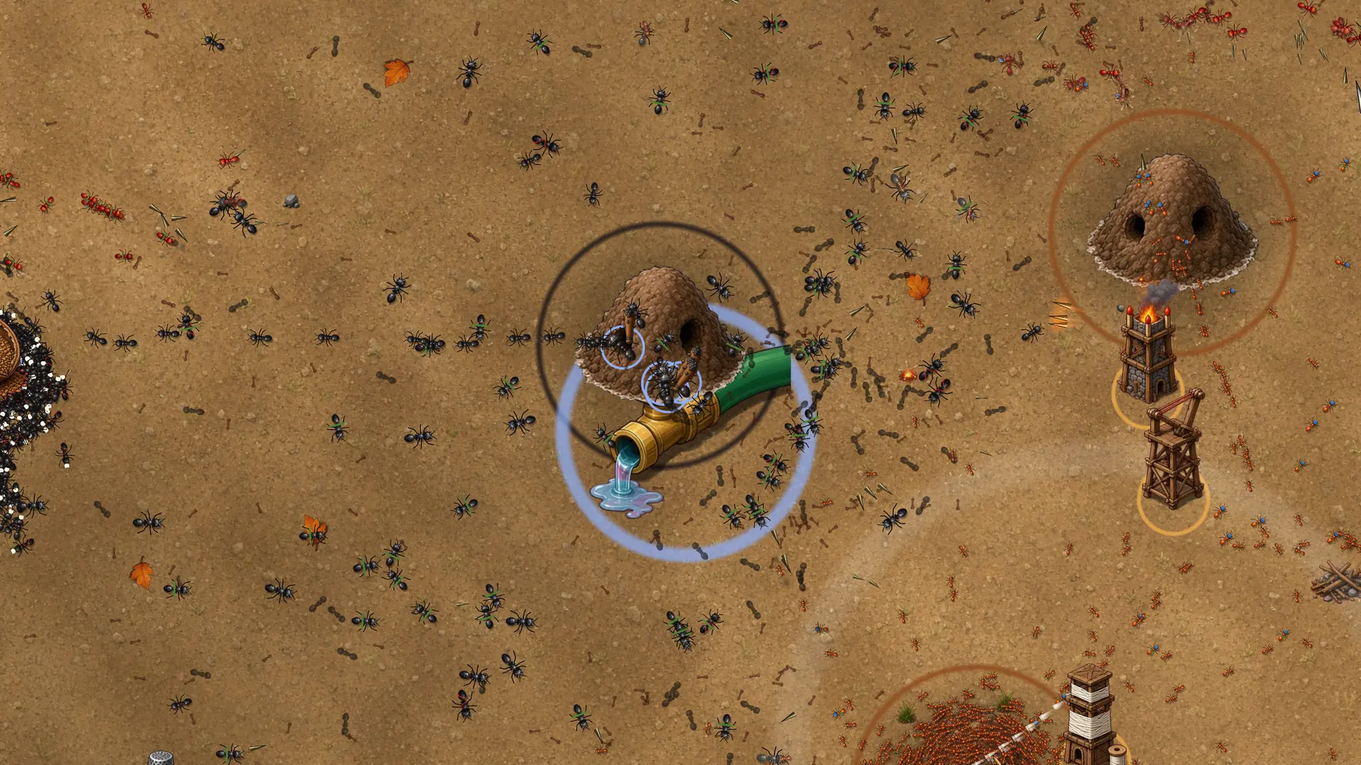 A nest beside a leaking garden hose, with towers and an enemy nest nearby