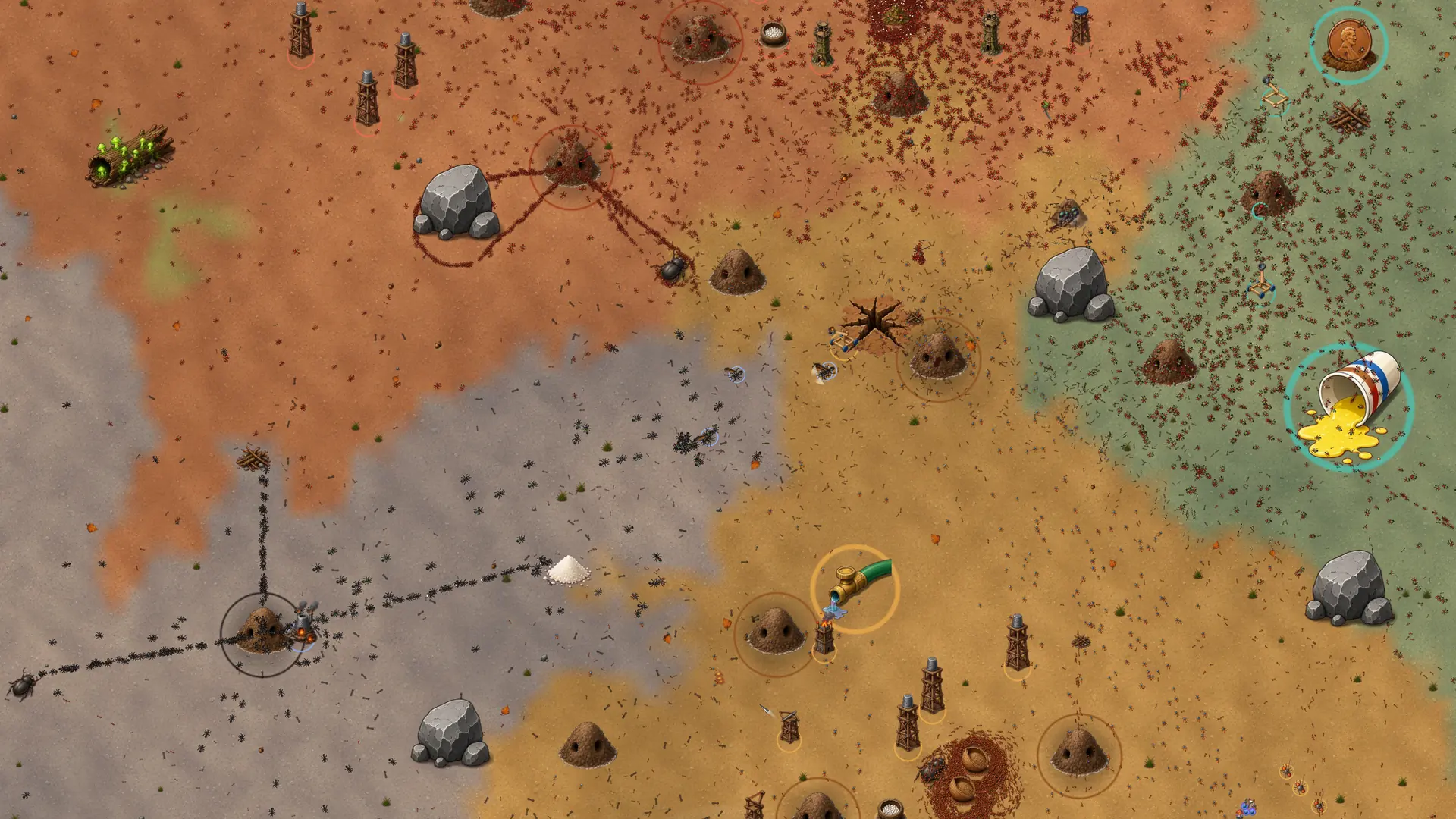 The garden from above, split between four colonies by the ground each one holds